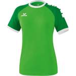 Fußballtrikot von erima, in der Farbe Grün, aus Polyester, Vorschaubild