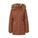 Parka der Marke Hollister