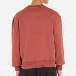 Sonstige Pullover von Calvin Klein, in der Farbe Rot, aus Baumwolle, andere Perspektive, Vorschaubild
