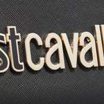 Umhängetasche von Just Cavalli, in der Farbe Schwarz, aus Kunstleder, andere Perspektive, Vorschaubild
