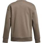 Sweatshirt von Under Armour, in der Farbe Braun, aus Polyester, andere Perspektive, Vorschaubild