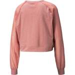 Sweatshirt von Puma, in der Farbe Rosa, aus Polyester, andere Perspektive, Vorschaubild