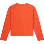 Sonstige Pullover von Picture, in der Farbe Orange, andere Perspektive, Vorschaubild