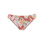 SUNSEEKER Bikini-Hose der Marke Sunseeker