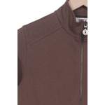 Sweatshirt von cecil, in der Farbe Braun, aus Baumwolle, andere Perspektive, Vorschaubild