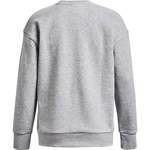 Sweatshirt von Under Armour, in der Farbe Silber, aus Polyester, andere Perspektive, Vorschaubild