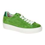 Plateau Sneaker von Gabor, in der Farbe Grün, aus Leder, Vorschaubild