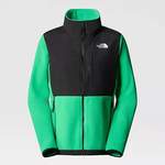 The North der Marke TheNorthFace