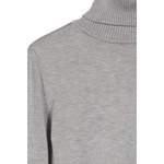 Sonstige Pullover von SAINT TROPEZ, in der Farbe Grau, aus Viskose, andere Perspektive, Vorschaubild