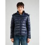 Daunenjacken & Steppjacke von Pepe Jeans, aus Polyester, andere Perspektive, Vorschaubild