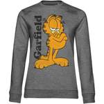 Rundhalspullover von Garfield, in der Farbe Grau, andere Perspektive, Vorschaubild