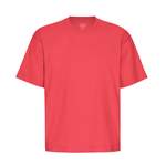 Oversized T-Shirt der Marke Colorful Standard