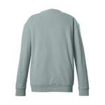 Sweatshirt von G.I.G.A. DX by killtec, in der Farbe Grau, aus Baumwolle, andere Perspektive, Vorschaubild