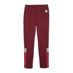 Trainingshose von Puma, in der Farbe Rot, aus Polyester, andere Perspektive, Vorschaubild