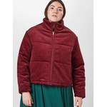 Daunenjacken & Steppjacke von Urban Classics, in der Farbe Lila, aus Polyester, andere Perspektive, Vorschaubild