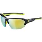 Sonstige Sonnenbrille von Alpina Sports, in der Farbe Grau, aus Kunststoff, Vorschaubild