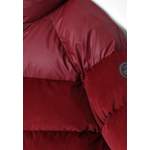 Winterjacke von Napapijri, in der Farbe Rot, andere Perspektive, Vorschaubild