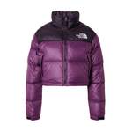 Jacke 'NUPTSE' der Marke The North Face