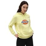 Dickies Hoodie der Marke Dickies