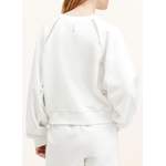 Sweatshirt von AllSaints, in der Farbe Weiss, aus Baumwolle, andere Perspektive, Vorschaubild