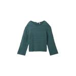Sonstige Pullover von Tom Tailor, in der Farbe Grün, aus Baumwolle, andere Perspektive, Vorschaubild