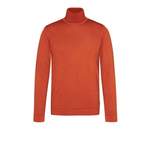 Rollkragenpullover von CINQUE, in der Farbe Orange, aus Stoff, andere Perspektive, Vorschaubild