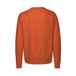 Sweatshirt von Neutral® - 3FREUNDE, in der Farbe Orange, aus Baumwolle, andere Perspektive, Vorschaubild