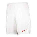 Nike Sporthose der Marke Nike