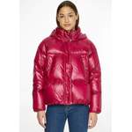 Daunenjacken & Steppjacke von Tommy Hilfiger, in der Farbe Rot, aus Webstoff, andere Perspektive, Vorschaubild