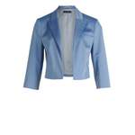 Kurzblazer von Betty Barclay, in der Farbe Blau, aus Polyester, andere Perspektive, Vorschaubild