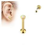 Piercing von Taffstyle, in der Farbe Gold, andere Perspektive, Vorschaubild