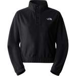 Fleecejacke 'Homesafe' der Marke The North Face