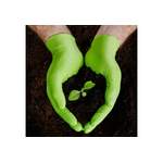 Handschuhe von MERCATOR MEDICAL, in der Farbe Grün, andere Perspektive, Vorschaubild