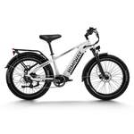 DOTMALL E-Bike der Marke DOTMALL