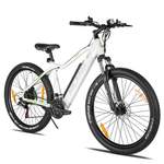 DOTMALL E-Bike der Marke DOTMALL