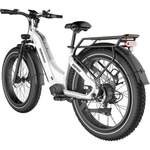 DOTMALL E-Bike der Marke DOTMALL