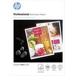 HP Professional der Marke HP