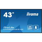 Iiyama ProLite der Marke Iiyama