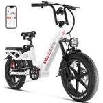 DOTMALL E-Bike der Marke DOTMALL