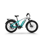 DOTMALL E-Bike der Marke DOTMALL