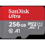 Memory-Card-Stick von SANDISK, in der Farbe Grau, Vorschaubild