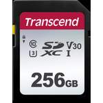 TS256GSDC300S - der Marke Transcend