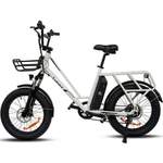 Fangqi E-Bike der Marke Fangqi