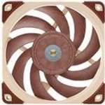 Noctua NF-A12x25 der Marke Noctua