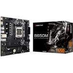 B650MT, Mainboard der Marke Biostar