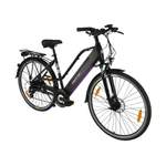 Maxtron E-Bike der Marke Maxtron