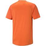 Herrenshirt von Puma, in der Farbe Orange, aus Polyester, andere Perspektive, Vorschaubild