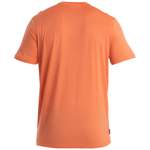 T-Shirt von Icebreaker, in der Farbe Orange, aus Wolle, andere Perspektive, Vorschaubild