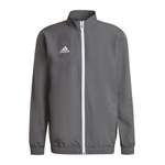 Sweatjacke von adidas performance, in der Farbe Grau, aus Recyceltes, andere Perspektive, Vorschaubild