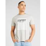T-Shirt von Esprit, in der Farbe Grau, andere Perspektive, Vorschaubild
